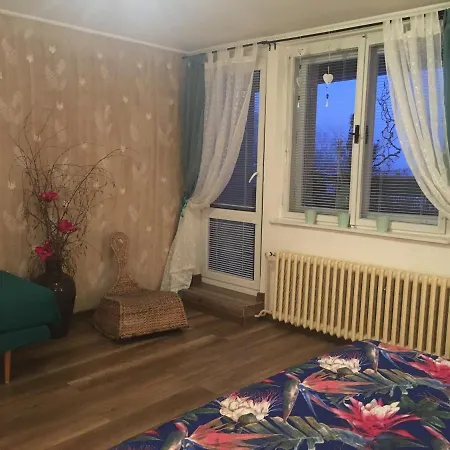 Apartman Angel * Тиса
