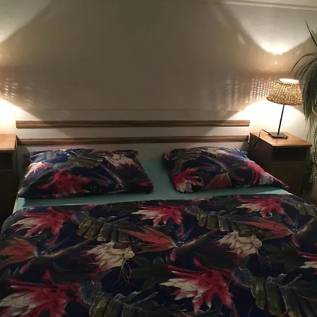 Apartman Angel Апартаменты Тиса